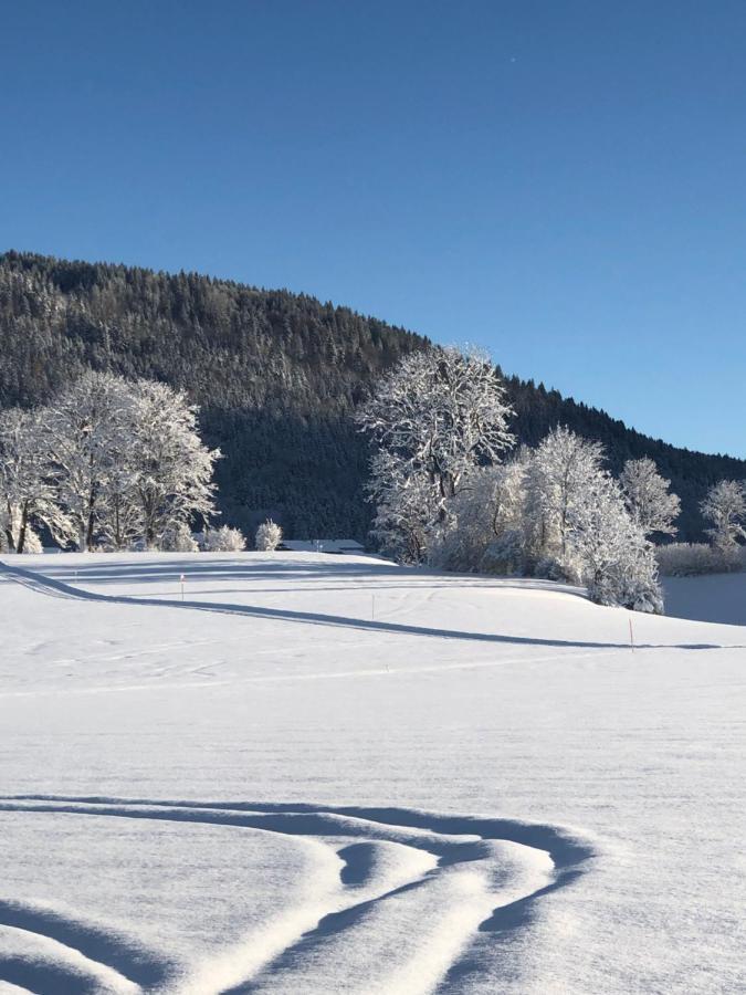 Lindenhof Inzell - Fewo Mit Chiemgaukarte Esterno foto
